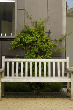 Benk - England 152x63x89cm Teak