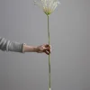 Blomst - Allium H107cm Hvit