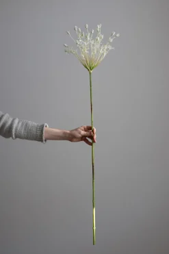 Blomst - Allium H107cm Hvit
