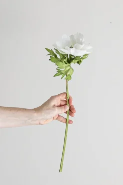 Blomst - Anemone H43cm Hvit