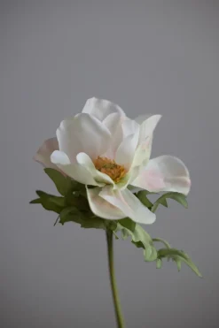 Blomst - Anemone H43cm Rosa