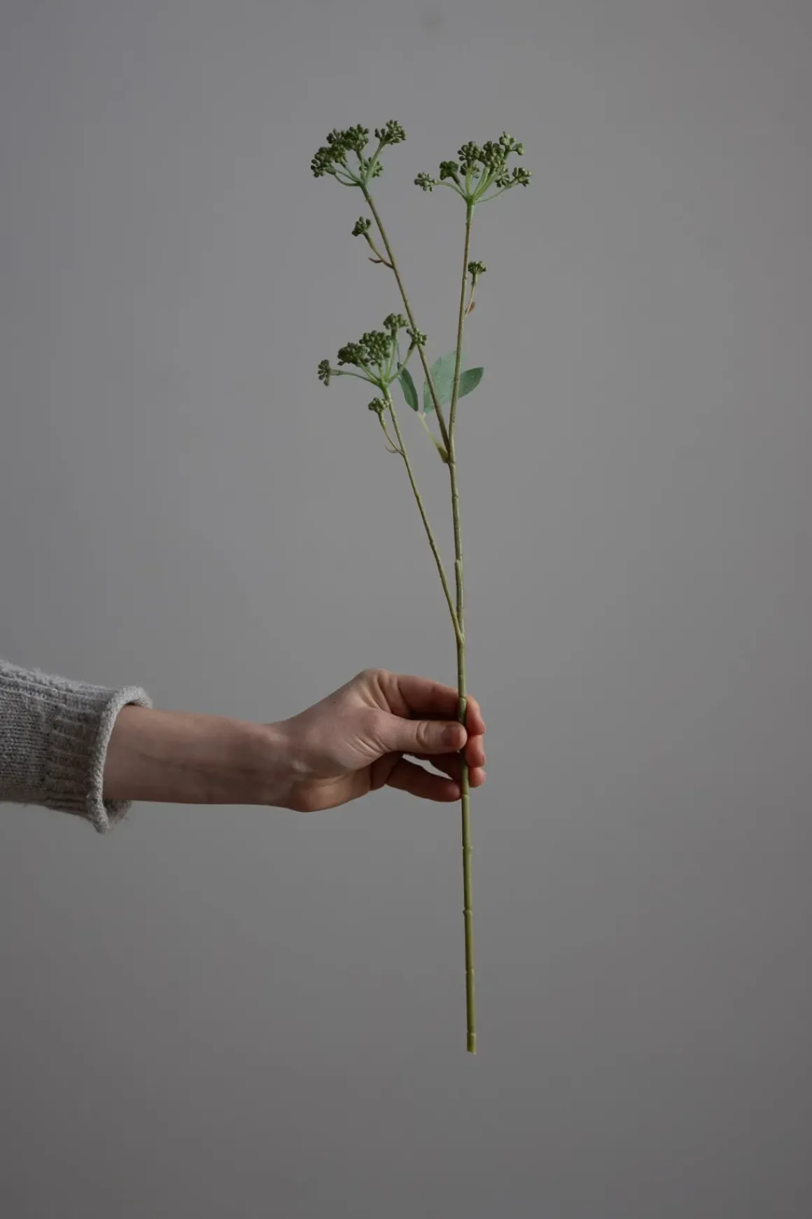 Blomst - Angelica H56cm