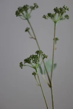 Blomst - Angelica H56cm