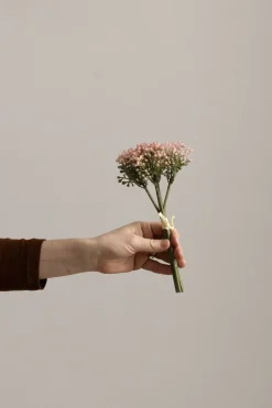 Blomst - Bergknappbundt 21cm