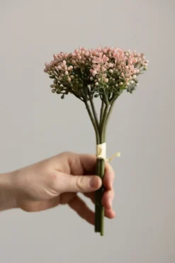 Blomst - Bergknappbundt 21cm