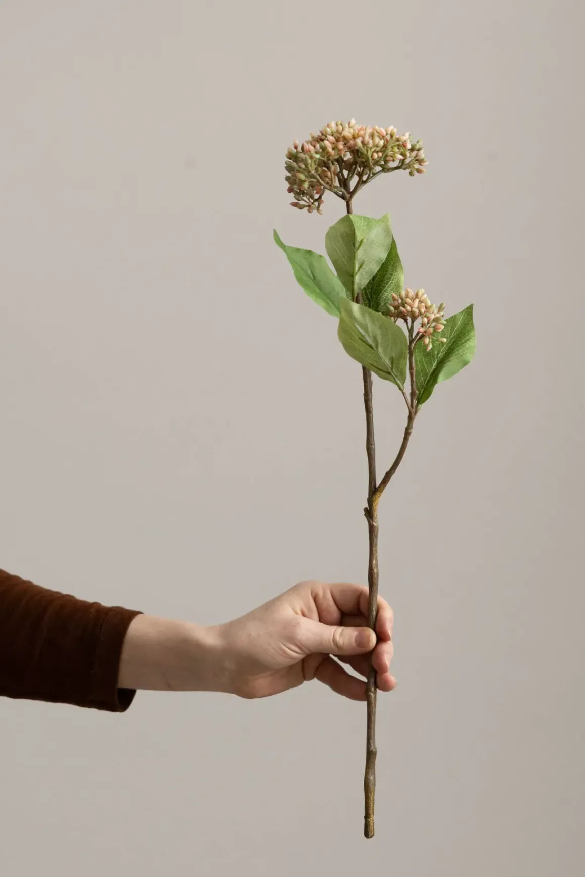 Blomst - Bærkvist H50cm