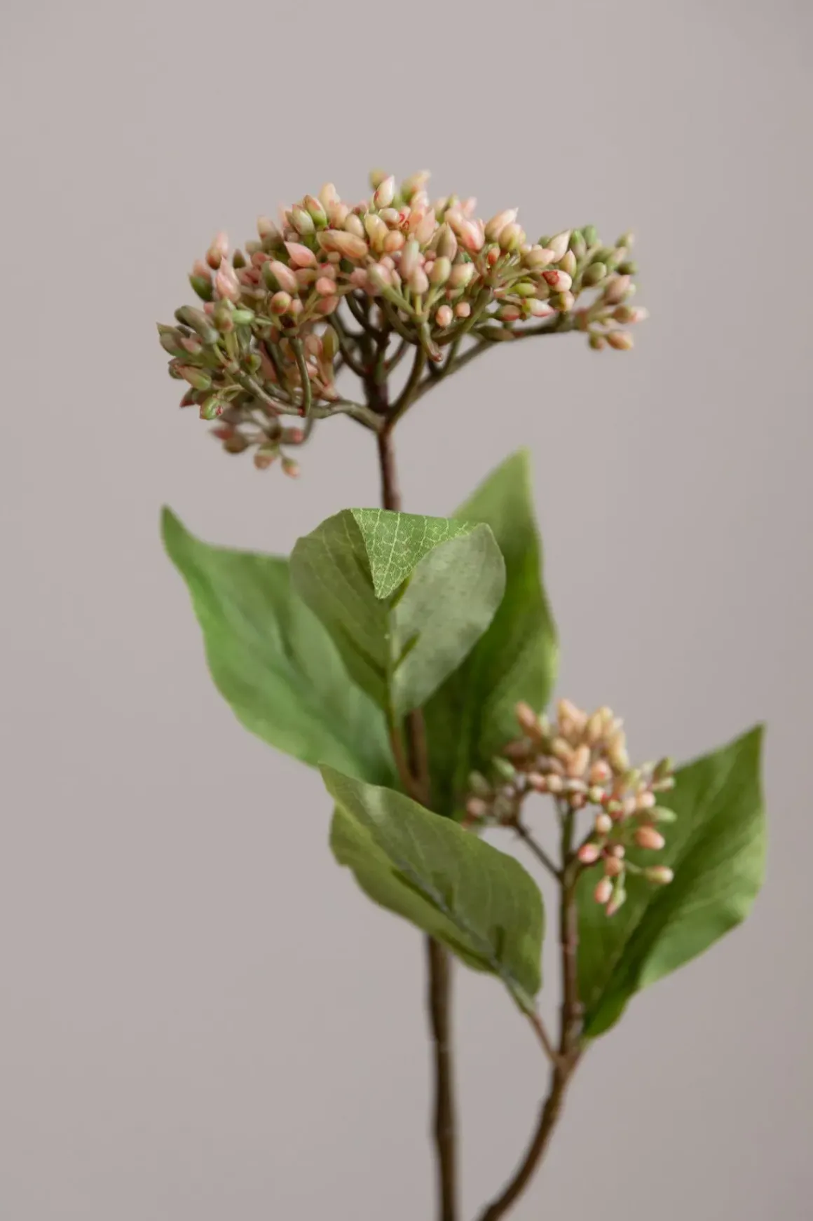 Blomst - Bærkvist H50cm