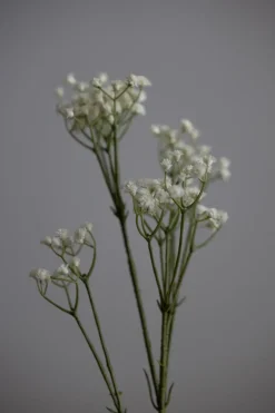 Blomst - Brudeslør H75cm Hvit