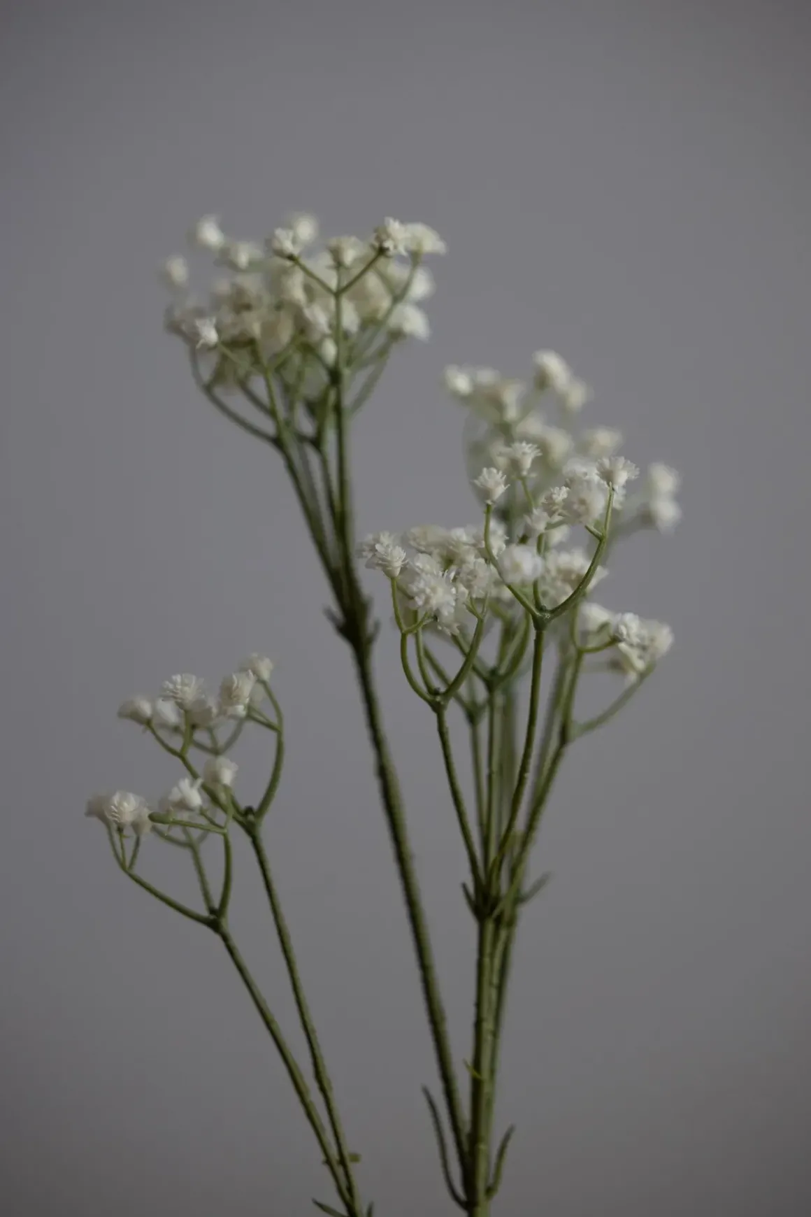 Blomst - Brudeslør H75cm Hvit