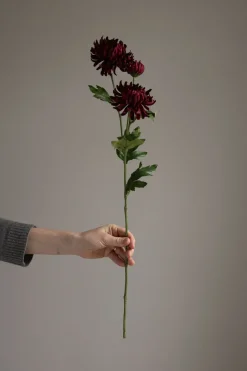 Blomst - Chrysanthemum H60cm