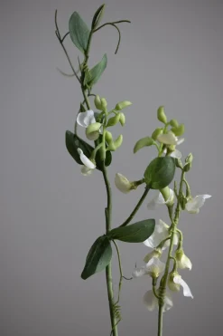 Blomst - Erteblomst H69cm Hvit