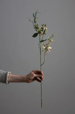 Blomst - Erteblomst H69cm Rosa