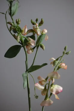 Blomst - Erteblomst H69cm Rosa