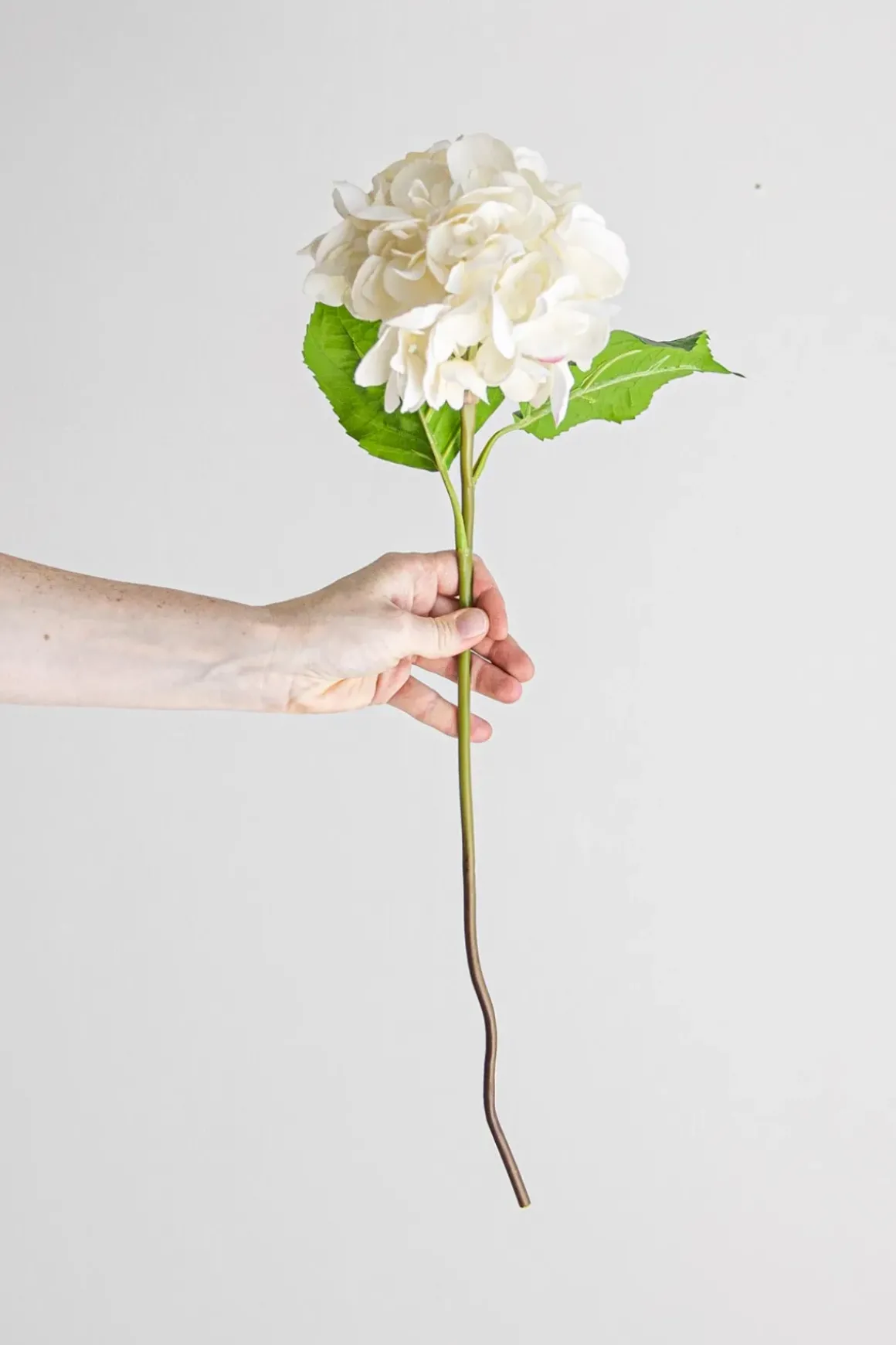 Blomst - Hortensia H55cm Hvit