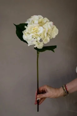 Blomst - Hortensia H55cm Hvit