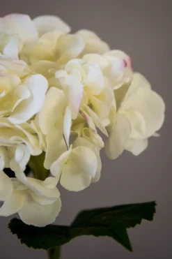 Blomst - Hortensia H55cm Hvit