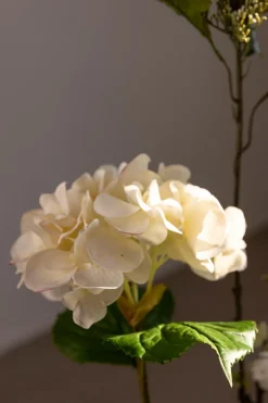 Blomst - Hortensia H55cm Hvit