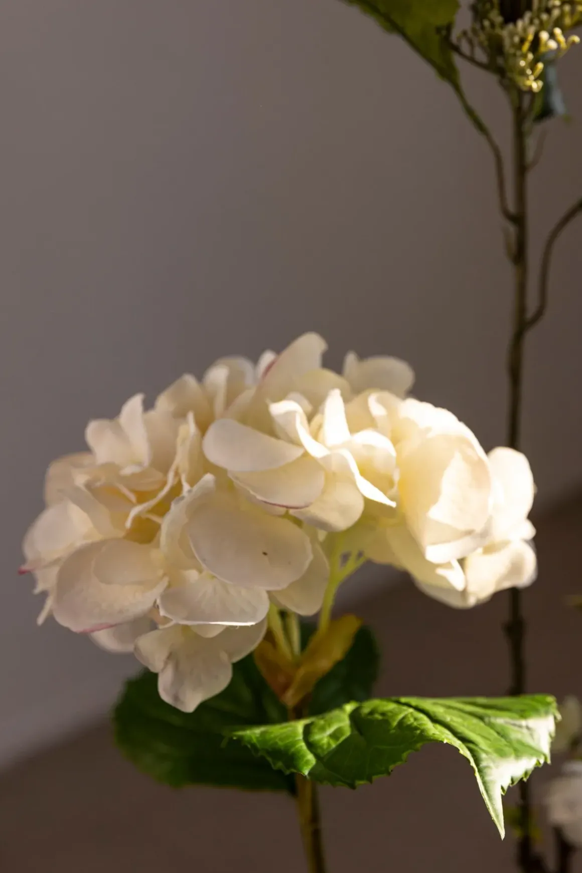 Blomst - Hortensia H55cm Hvit