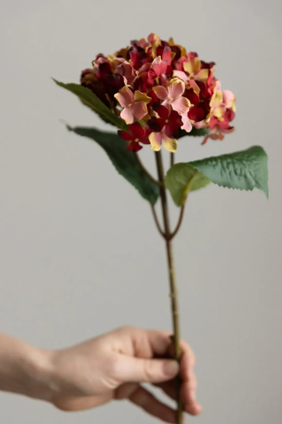 Blomst - Hortensia H40cm Rød