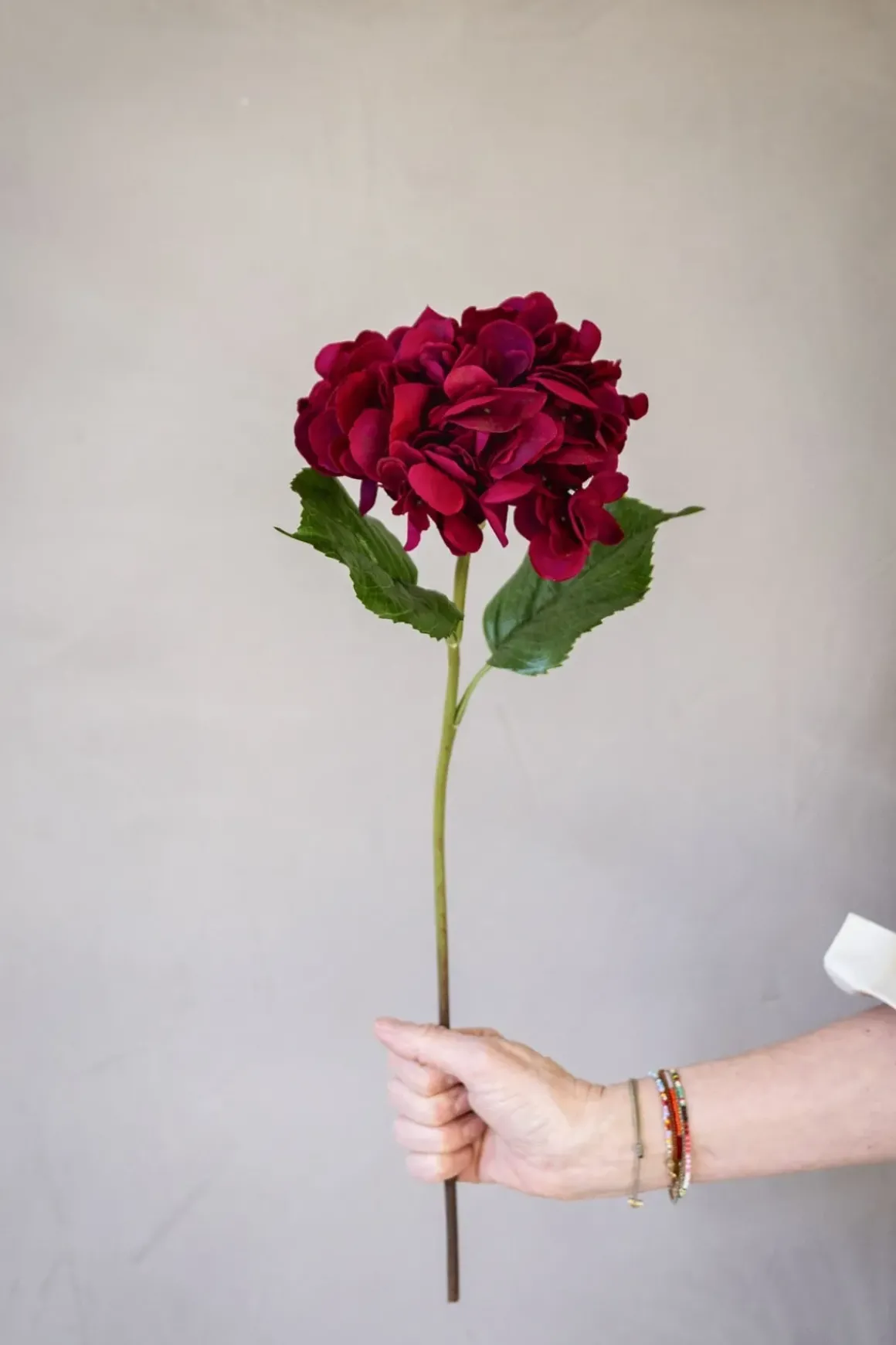 Blomst - Hortensia H55cm Rød