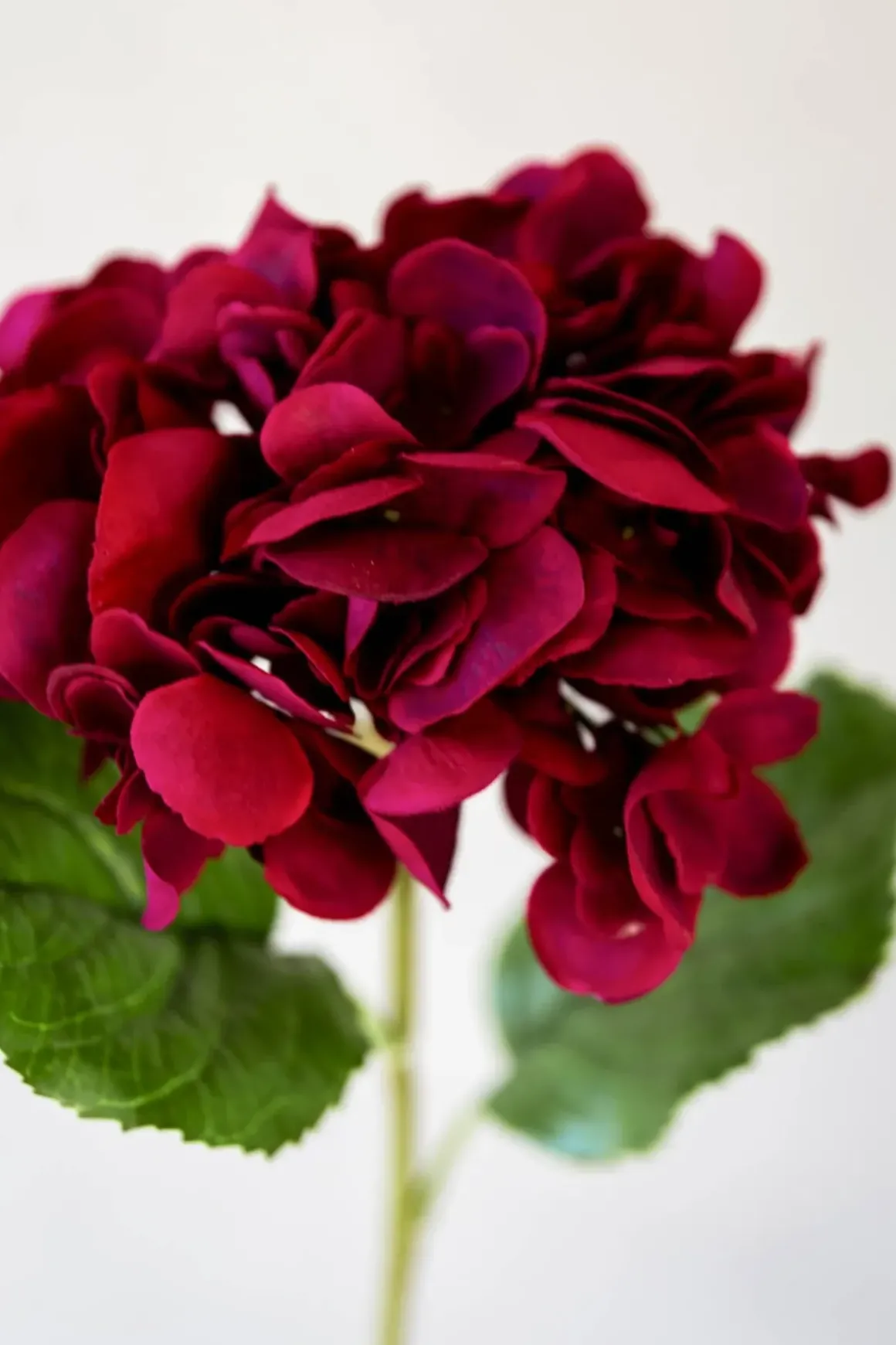 Blomst - Hortensia H55cm Rød