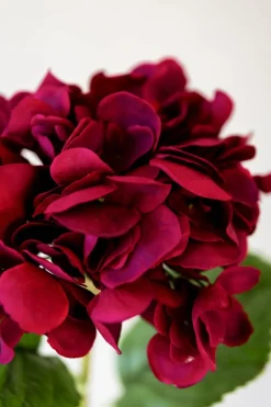 Blomst - Hortensia H55cm Rød