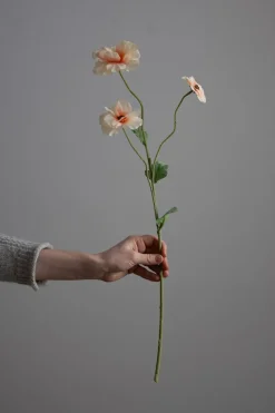 Blomst - Japansk Ranunkel H62cm