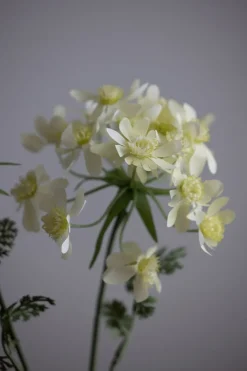 Blomst - Kjørvel H73cm