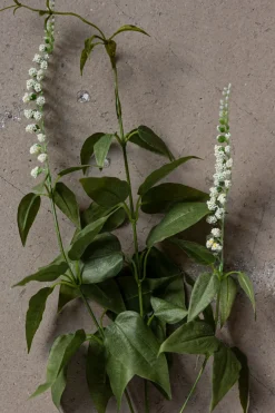 Blomst - Lavendel H70cm Hvit