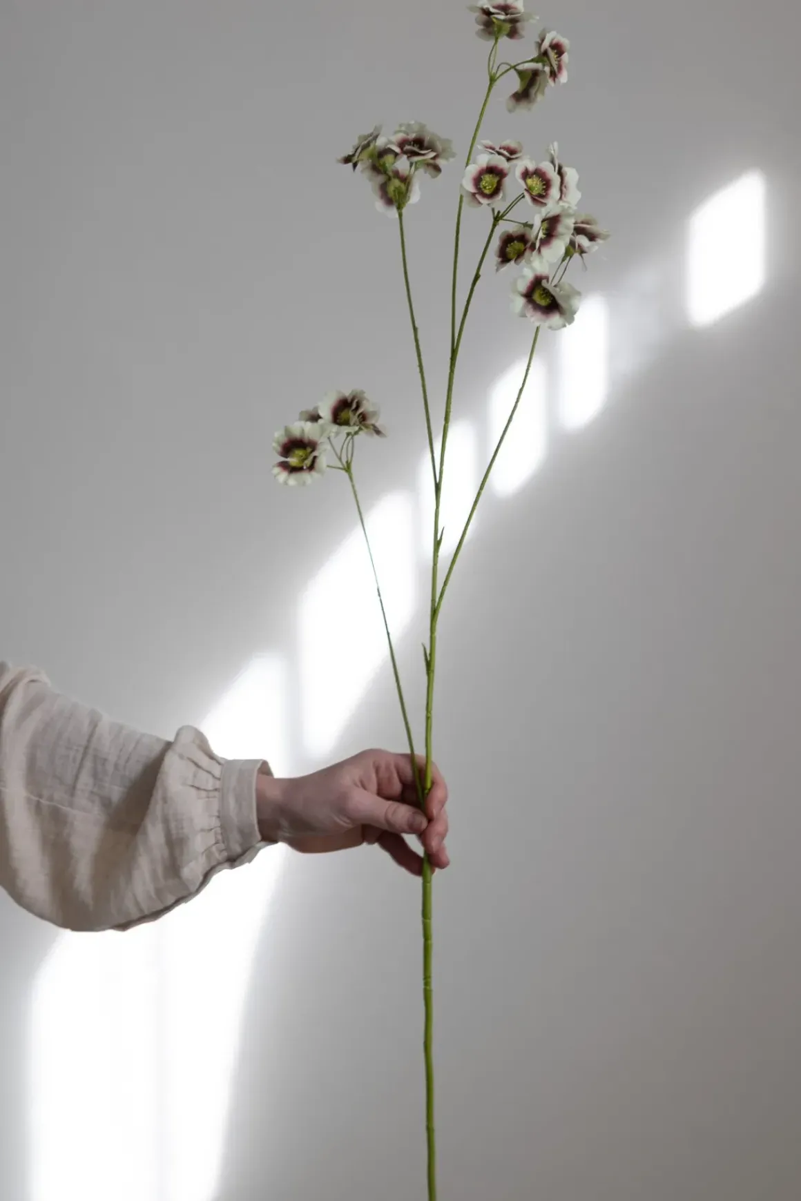 Blomst - Leucocoryne H89cm Grønn