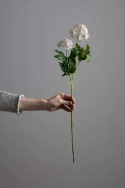 Blomst - Olvon H60cm