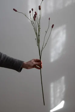 Blomst - Pimpinell 80cm Rosa