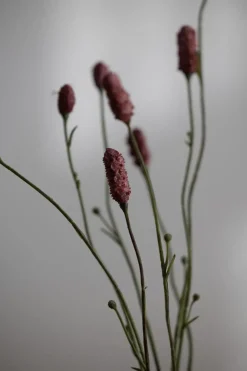 Blomst - Pimpinell 80cm Rosa