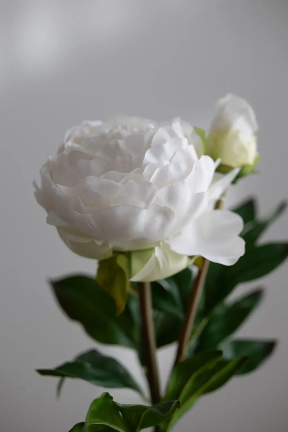 Blomst - Pion 65cm Hvit