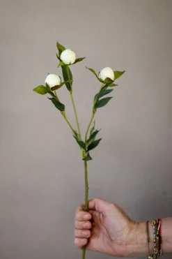 Blomst - Pion H45cm Hvit