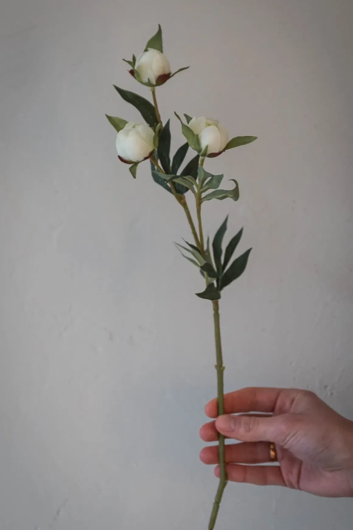 Blomst - Pion H45cm Hvit