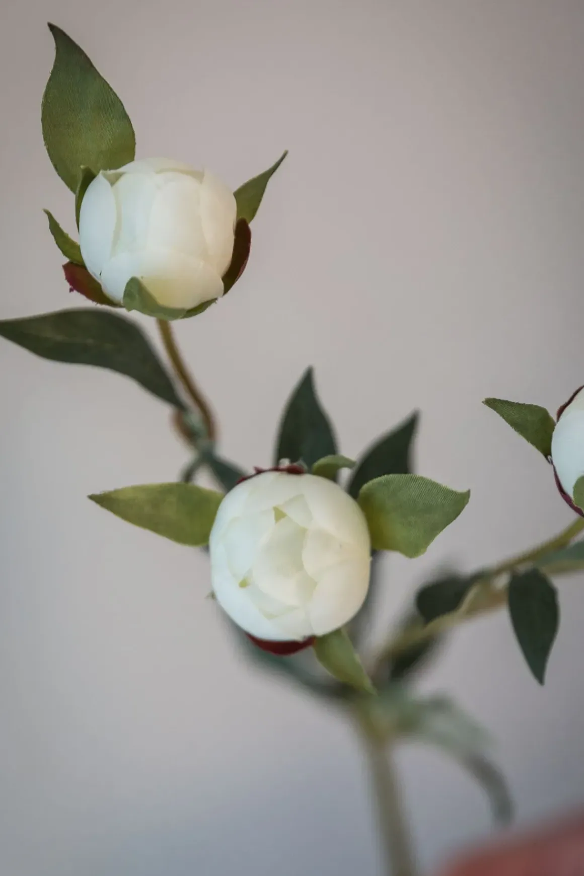 Blomst - Pion H45cm Hvit