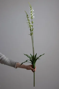 Blomst - Porselensveronika H100cm