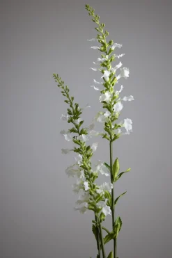 Blomst - Porselensveronika H100cm