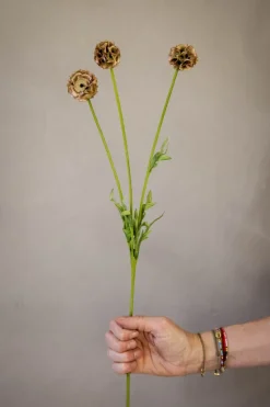Blomst - Scabiosa h60cm