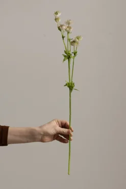 Blomst - Stjerneskjerm H55cm