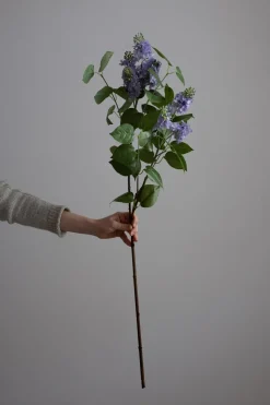 Blomst - Syrin H100cm