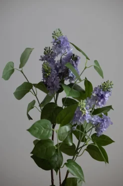 Blomst - Syrin H100cm