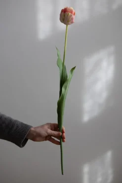Blomst - Tulipan 67cm Rosa