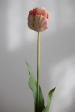 Blomst - Tulipan 67cm Rosa