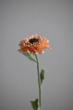 Blomst - Zinnia H45cm