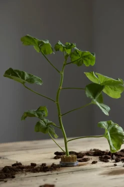 Blomsterfakir - 5cm Metall