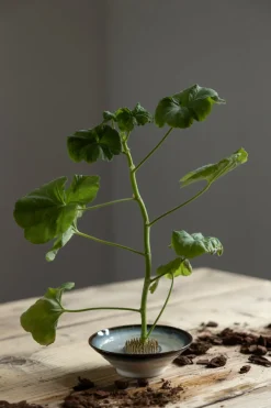 Blomsterfakir - 5cm Metall