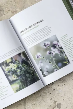 Bok - Kunsten Å Dyrke Snittblomster