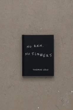 Bok - No Rain, No Flowers